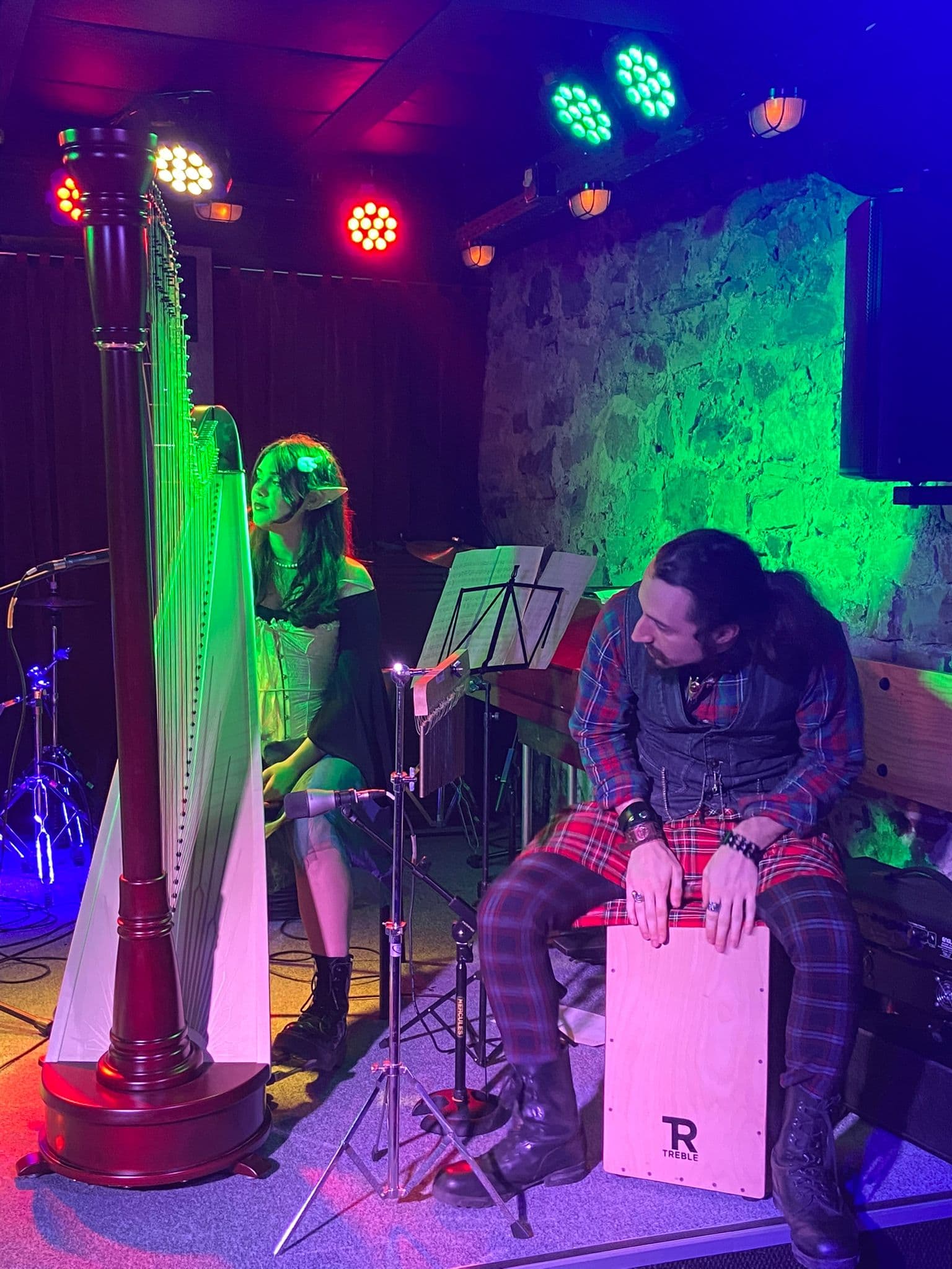 Alexandrina in a fantasy-inspired harp portrait